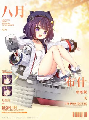 弗莱彻级驱逐舰 49 号舰布什深度攻略：白鹰雷击的灵动利刃-星界云手机攻略站