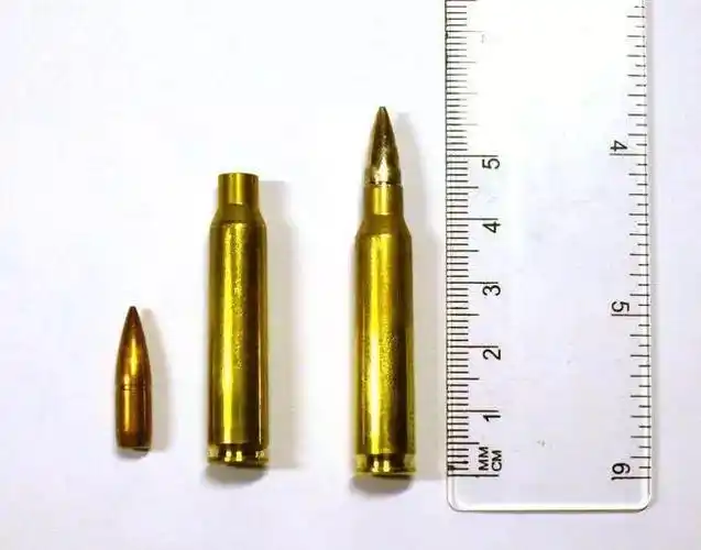 和平精英 5.56 毫米子弹解析-星界云手机攻略站