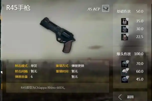 《和平精英》.45 口径子弹深度解析-星界云手机攻略站