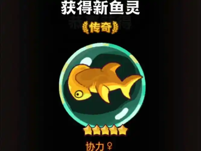 炎神鱼灵搭配指南插图 炎神鱼灵搭配指南插图