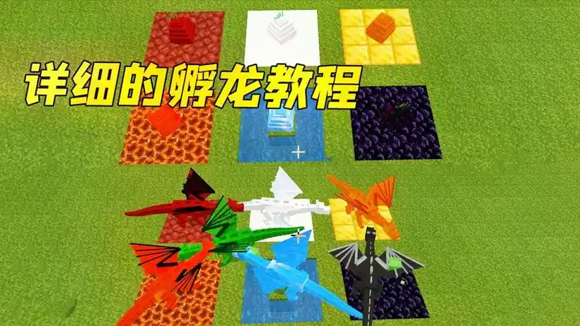 我的世界手游龙蛋怎么孵化?全流程攻略在此!插图 我的世界手游龙蛋怎么孵化?全流程攻略在此!插图