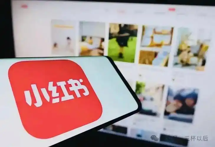 使用星界云手机批量进行小红书自动私信插图 使用星界云手机批量进行小红书自动私信插图