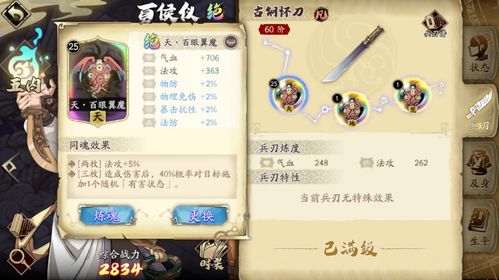 ​​《天地劫：幽城再临》饰品图鉴（核心分类与高价值单品解析）​插图1