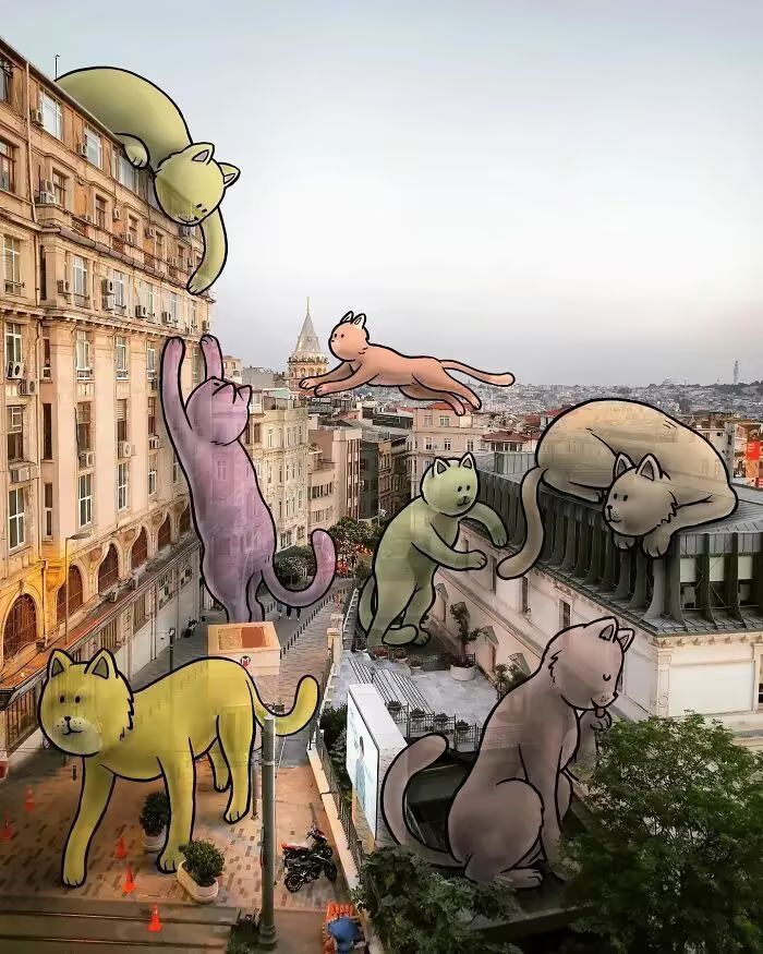 猫之城懵懂精灵插图 猫之城懵懂精灵插图