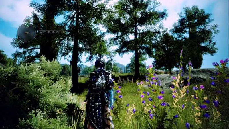 《黑色沙漠》头目知识系统全攻略：战力奖励、悲情头目与改版福利提醒-星界云手机攻略站