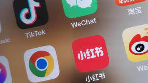 利用星界云手机提升小红书宠物账号运营效率插图 利用星界云手机提升小红书宠物账号运营效率插图