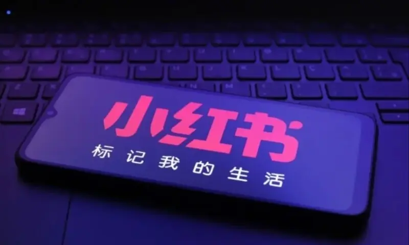 小红书轻创业女性多账号运营:星界云手机如何打造个人品牌矩阵插图 小红书轻创业女性多账号运营:星界云手机如何打造个人品牌矩阵插图