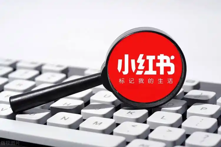 小红书校园生活多账号运营:星界云手机如何帮助社团与KOL团队高效协作插图 小红书校园生活多账号运营:星界云手机如何帮助社团与KOL团队高效协作插图