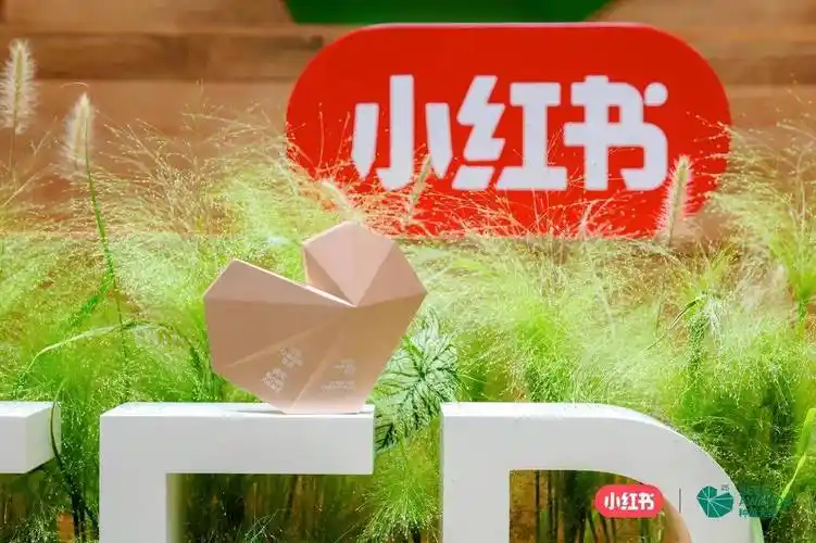 小红书植物养护多账号运营：星界云手机如何实现垂直内容规模化-星界云手机攻略站