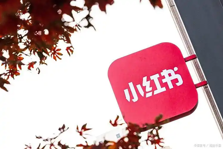 小红书校园生活账号矩阵:星界云手机如何让大学生社群内容规模化运营插图 小红书校园生活账号矩阵:星界云手机如何让大学生社群内容规模化运营插图