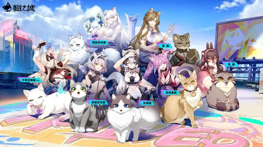 2025 猫之城云手机推荐：星界云手机，多开挂机防封高帧首选-星界云手机攻略站