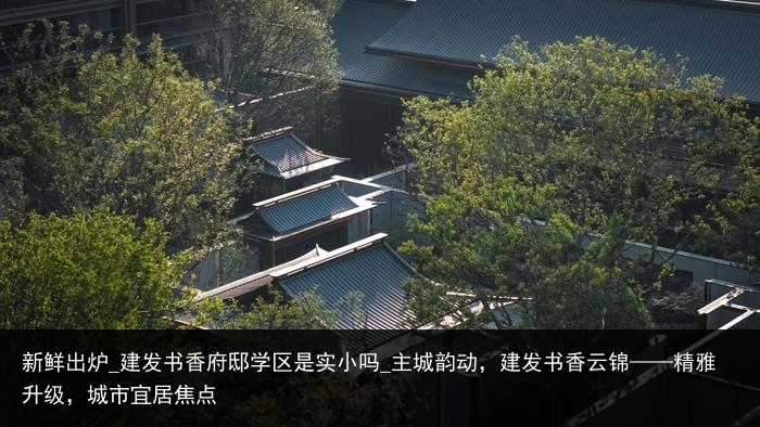 新鲜出炉_建发书香府邸学区是实小吗_主城韵动，建发书香云锦——精雅升级，城市宜居焦点