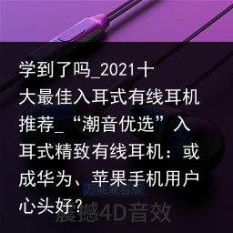 学到了吗_2021十大最佳入耳式有线耳机推荐_“潮音优选”入耳式精致有线耳机：或成华为、苹果手机用户心头好？