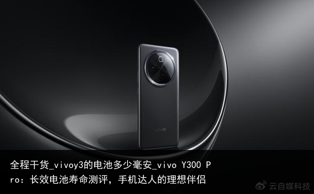 全程干货_vivoy3的电池多少毫安_vivo Y300 Pro：长效电池寿命测评，手机达人的理想伴侣