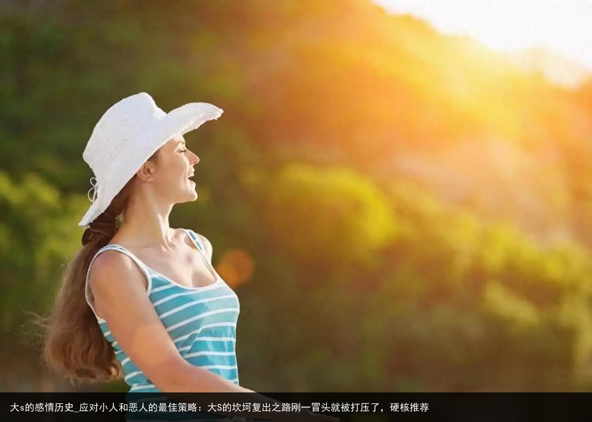 大s的感情历史_应对小人和恶人的最佳策略：大S的坎坷复出之路刚一冒头就被打压了，硬核推荐