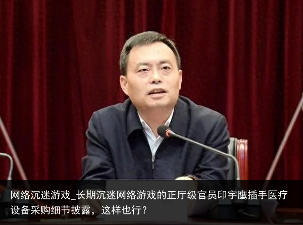 网络沉迷游戏_长期沉迷网络游戏的正厅级官员印宇鹰插手医疗设备采购细节披露，这样也行？