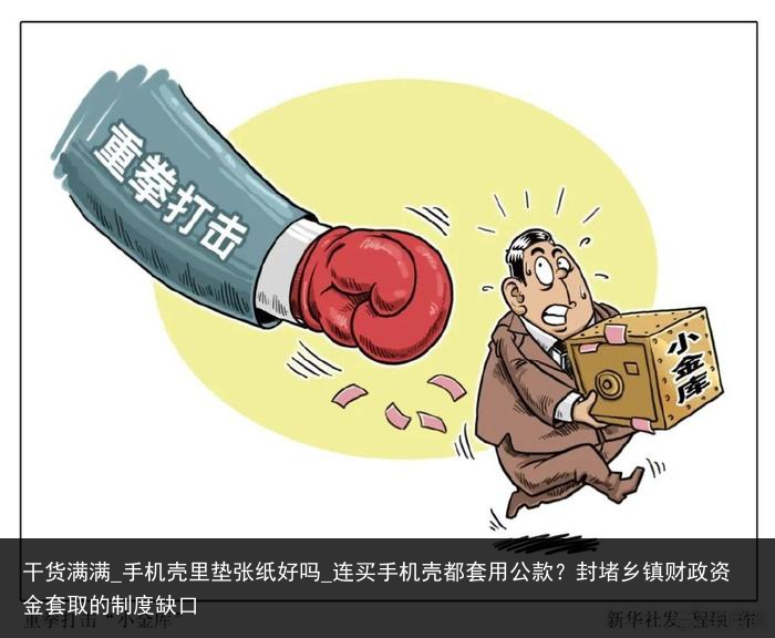 干货满满_手机壳里垫张纸好吗_连买手机壳都套用公款？封堵乡镇财政资金套取的制度缺口