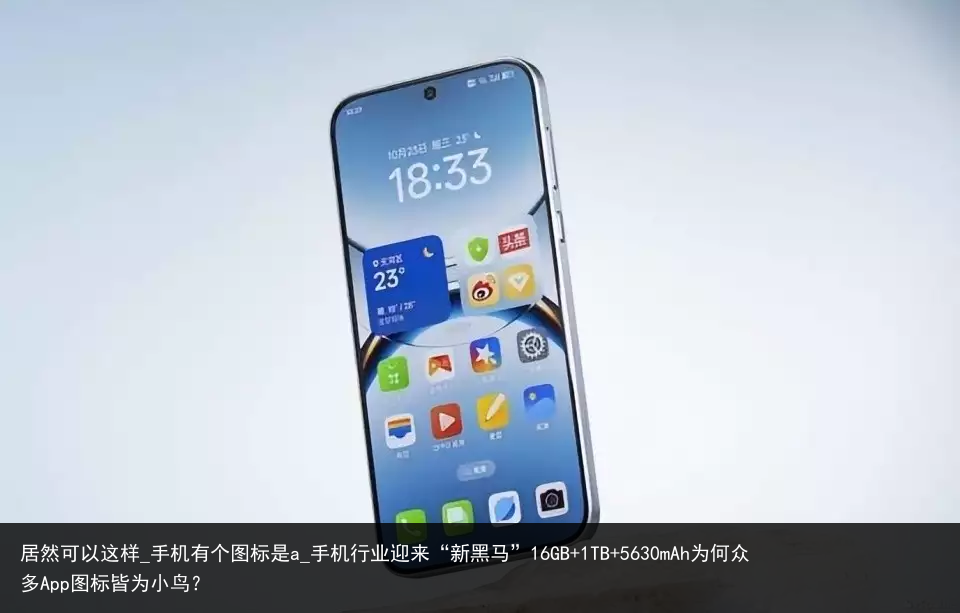 居然可以这样_手机有个图标是a_手机行业迎来“新黑马”16GB 1TB 5630mAh为何众多App图标皆为小鸟？