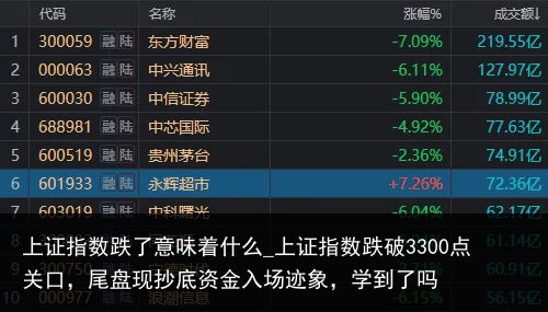 上证指数跌了意味着什么_上证指数跌破3300点关口，尾盘现抄底资金入场迹象，学到了吗