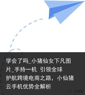 学会了吗_小猪仙女下凡图片_手持一机 引领全球 护航跨境电商之路，小仙猪云手机优势全解析