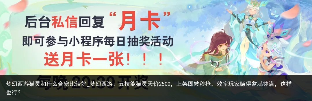 梦幻西游猫灵和什么合宠比较好_梦幻西游：五技能猫灵天价2500，上架即被秒抢，效率玩家赚得盆满钵满，这样也行？