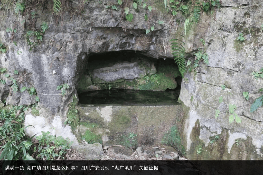 满满干货_湖广填四川是怎么回事?_四川广安发现“湖广填川”关键证据
