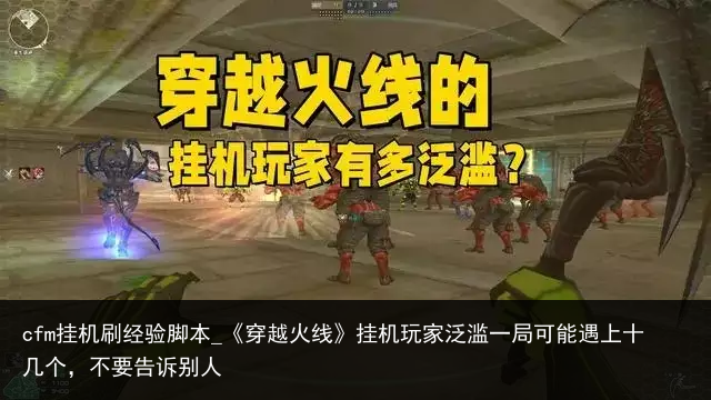 cfm挂机刷经验脚本_《穿越火线》挂机玩家泛滥一局可能遇上十几个，不要告诉别人
