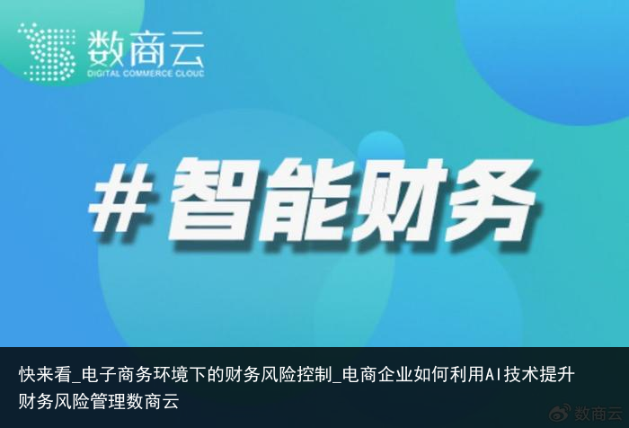 快来看_电子商务环境下的财务风险控制_电商企业如何利用AI技术提升财务风险管理数商云